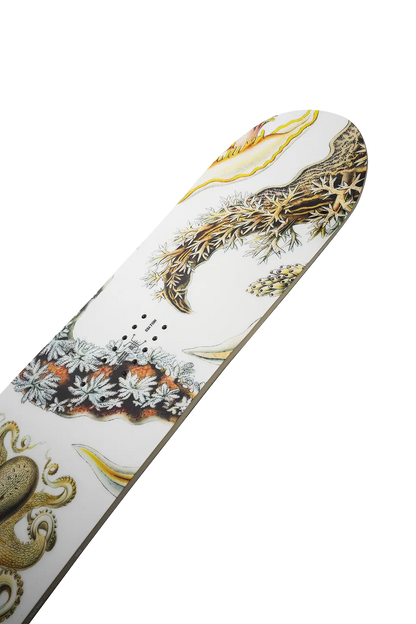Women's Hell Yes Snowboard Sporting Goods in White